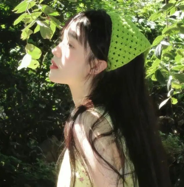 芙蓉仙子