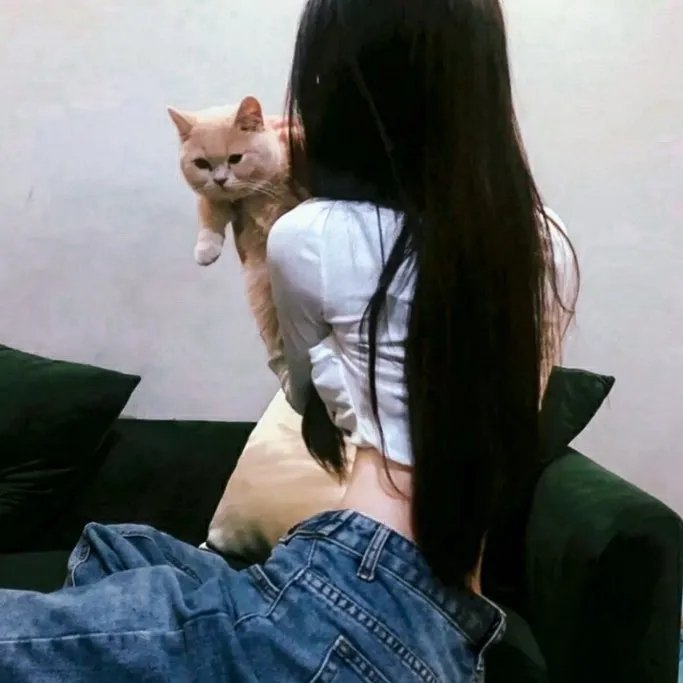 军犬麦斯2：白宫英雄